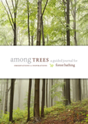 Among Trees
