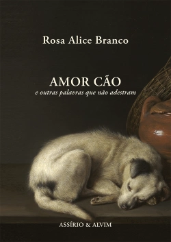 Bertrand.pt - Amor Cão e outras palavras que não adestram