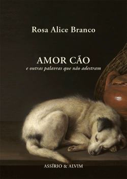 Bertrand.pt - Amor Cão e outras palavras que não adestram