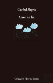 Amor Sin Fin