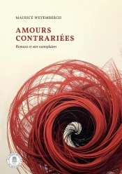 Amours Contrariées : Romans Et Vies Exemplaires