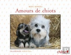 Bertrand.pt - Amours De Chiots