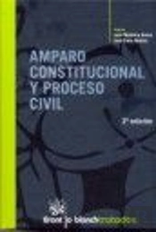 Amparo Constitucional Y Proceso Civil