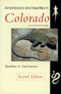 Amphibians And Reptiles In Colorado
