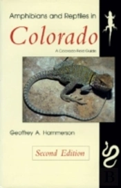 Amphibians And Reptiles In Colorado