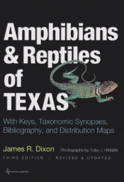 Amphibians And Reptiles Of Texas