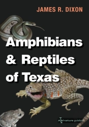 Amphibians And Reptiles Of Texas