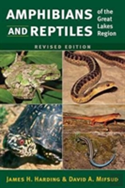 Bertrand.pt - Amphibians And Reptiles Of The Great Lakes Region