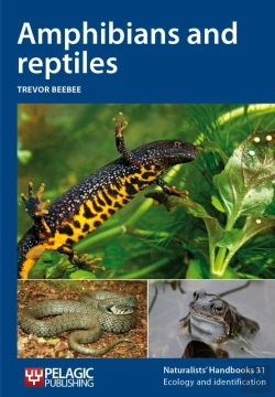 Bertrand.pt - Amphibians And Reptiles