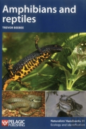 Amphibians And Reptiles