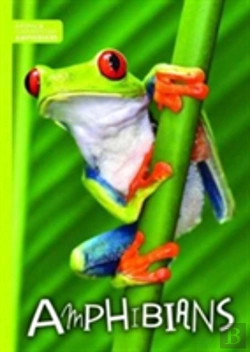 Bertrand.pt - Amphibians