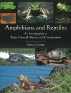 Bertrand.pt - Amphibians & Reptiles