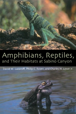 Bertrand.pt - Amphibians, Reptiles, And Their Habitats At Sabino Canyon