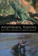 Amphibians, Reptiles, And Their Habitats At Sabino Canyon