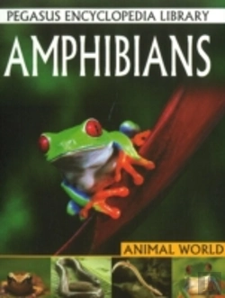 Bertrand.pt - Amphibians