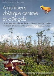 Amphibiens D'Afrique Centrale Et D'Angola ; Clé De Détermination Illustrée Des Amphibiens Du Gabon Et Du Mbini ; Illustrated Identification Key Of The Amphibians From Gabon And Mbini