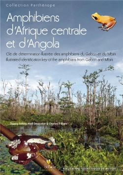 Bertrand.pt - Amphibiens D'Afrique Centrale Et D'Angola ; Clé De Détermination Illustrée Des Amphibiens Du Gabon Et Du Mbini ; Illustrated Identification Key Of The Amphibians From Gabon And Mbini