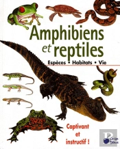 Amphibiens Et Reptiles