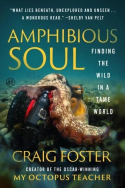 Bertrand.pt - Amphibious Soul