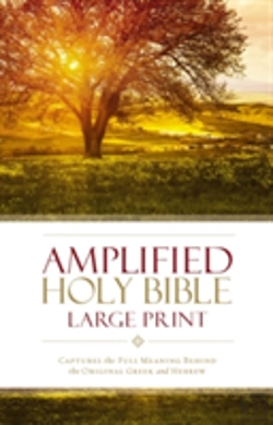 Bertrand.pt - Amplified Holy Bible, Large Print, Hardcover