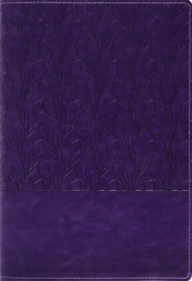 Amplified Holy Bible, Large Print, Leathersoft, Purple