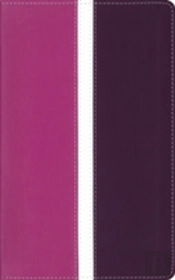 Amplified Holy Bible