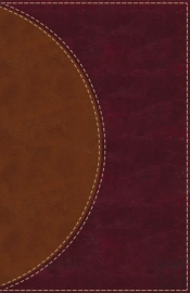 Amplified Reading Bible, Imitation Leather, Brown