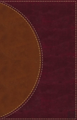 Bertrand.pt - Amplified Reading Bible, Imitation Leather, Brown