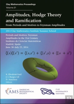 Bertrand.pt - Amplitudes, Hodge Theory And Ramification