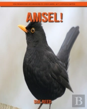 Amsel! Ein Padagogisches Kinderbuch Uber Amsel Mit Lustigen Fakten
