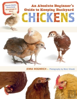 Bertrand.pt - An Absolute Beginner'S Guide To Keeping Backyard Chickens