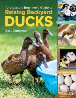 Bertrand.pt - An Absolute Beginner'S Guide To Raising Backyard Ducks