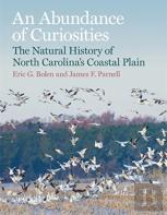 An Abundance Of Curiosities