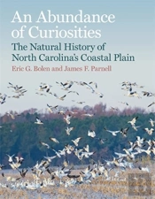 An Abundance Of Curiosities