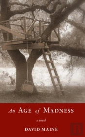 An Age Of Madness