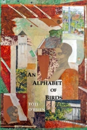 An Alphabet Of Birds