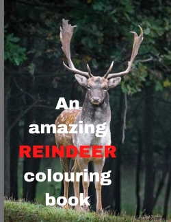 Bertrand.pt - An Amazing Reindeer Colouring Book