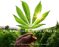 Bertrand.pt - An American Cannabis Story