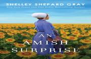 An Amish Surprise