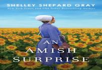 An Amish Surprise