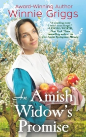 An Amish Widow'S Promise