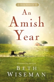 An Amish Year