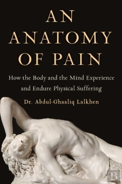 Bertrand.pt - An Anatomy Of Pain