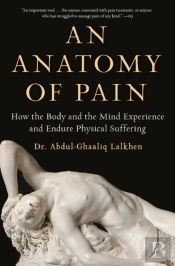 An Anatomy Of Pain