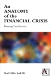 An Anatomy Of The Financial Crisis