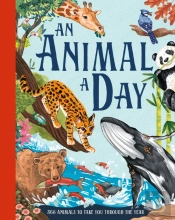 An Animal A Day