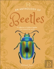 An Anthology Of Beetles