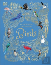 An Anthology Of Exquisite Birds
