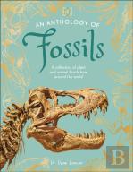 An Anthology Of Fossils