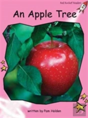 An Apple Tree